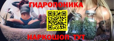 Альфа ПВП Мариинск
