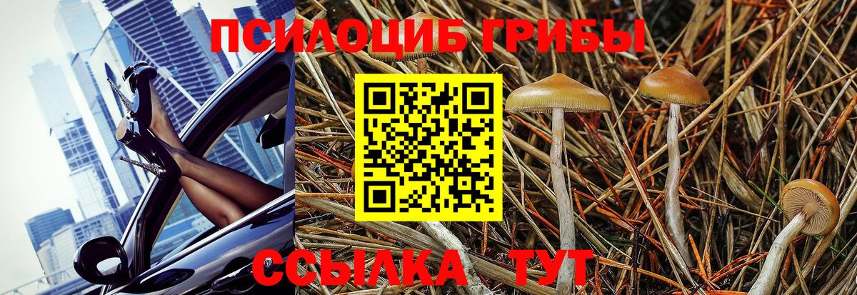 Псилоцибиновые грибы Psilocybine cubensis  Вход с VPN  Фурманов 